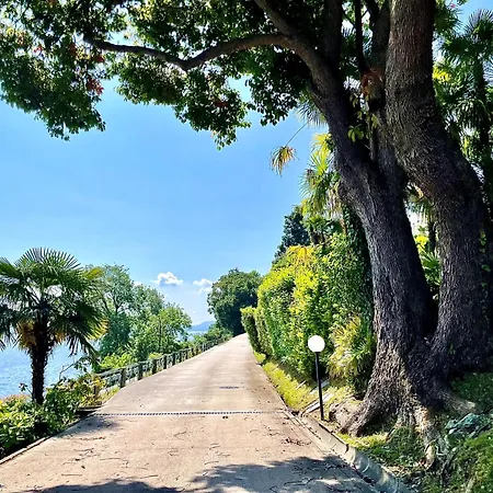 Elegant & Comfortable Modern With Swimming Pool *